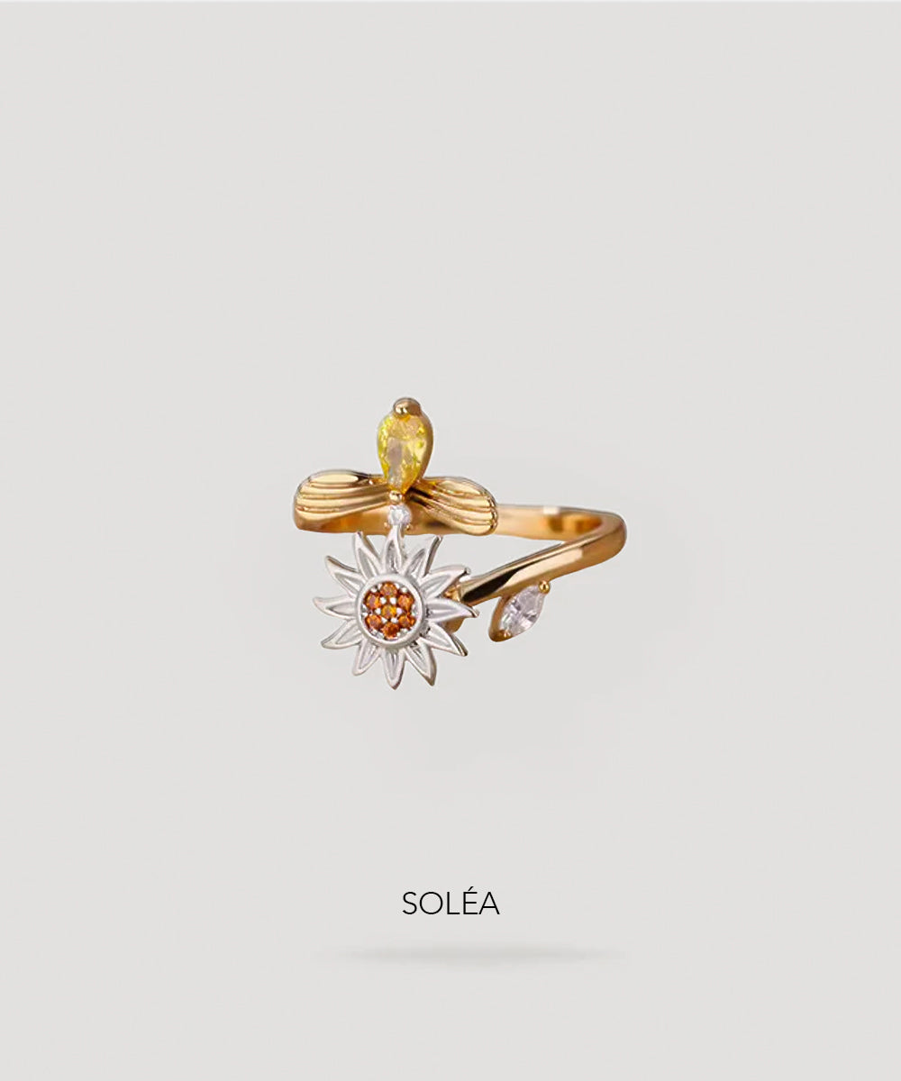 Anillos Calmantes de Órfebre