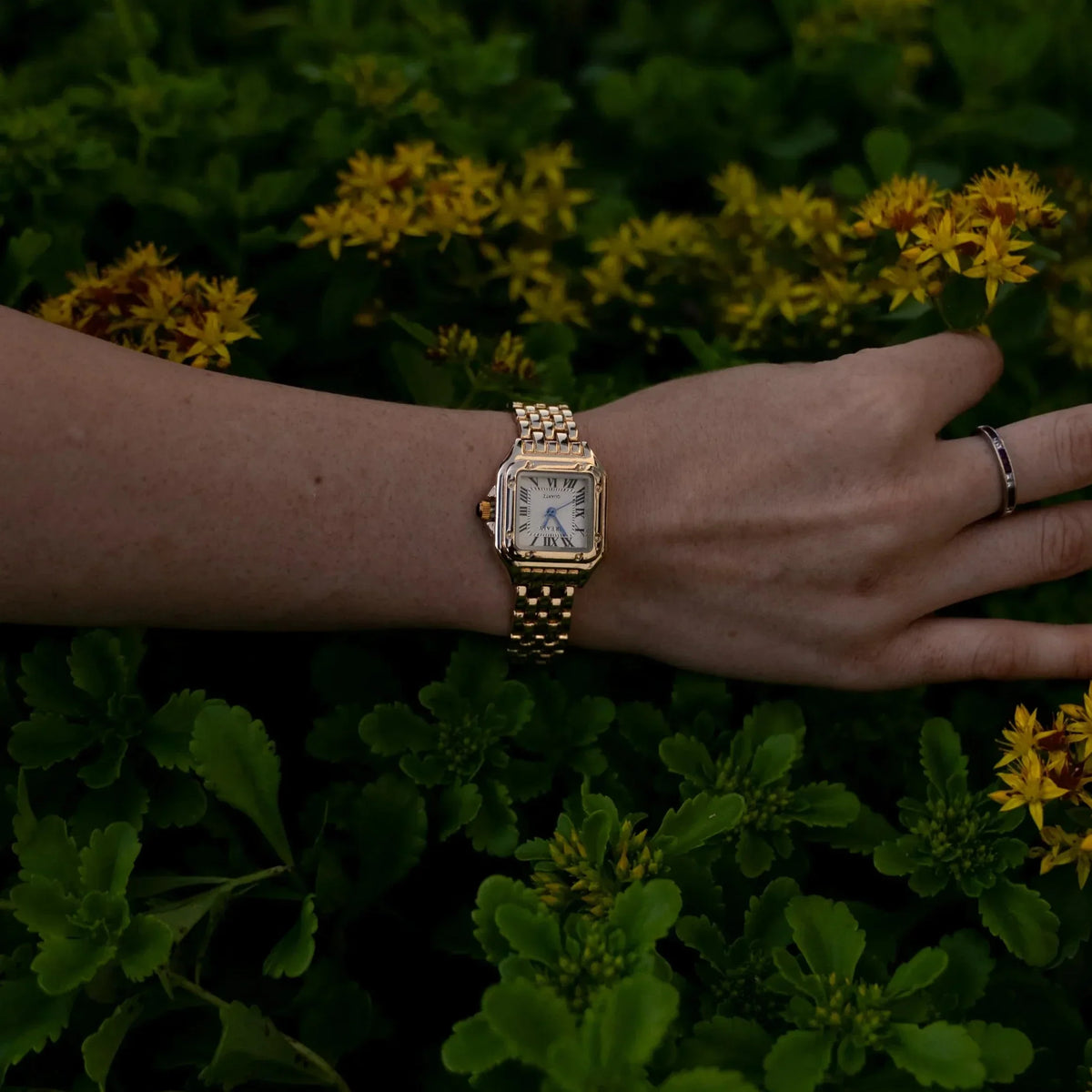 Reloj Regal Grealy
