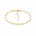 Clip Link Anklet
