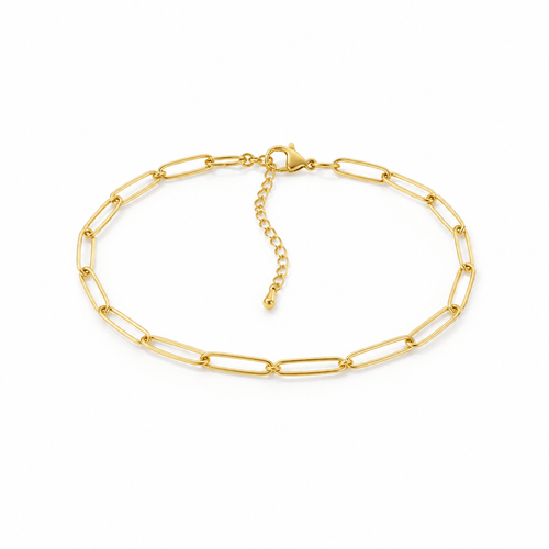 Clip Link Anklet